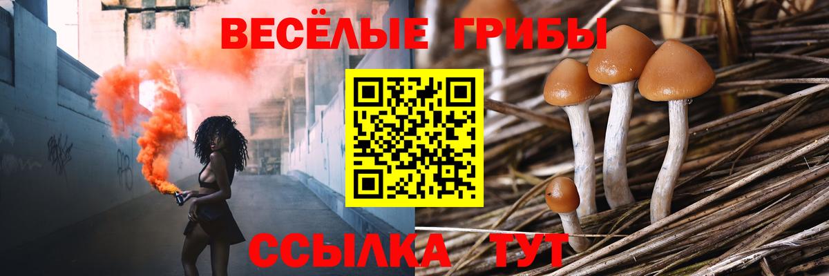 Галлюциногенные грибы Psilocybe Октябрьский